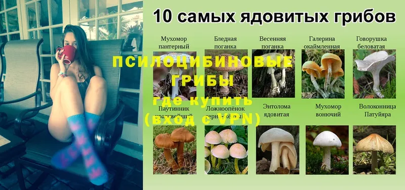 кракен tor  Уржум  Галлюциногенные грибы MAGIC MUSHROOMS  купить наркотик 